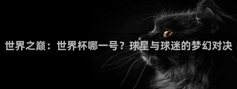世界杯欧洲预选赛:世界之巅:世界杯哪一号?球星与球迷的梦幻对决