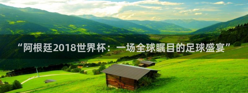 2026世界杯直播免费观看:“阿根廷2018世界杯:一场全球瞩目的足球盛宴”