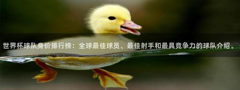 世界杯球队排名:世界杯球队身价排行榜:全球最佳球员、最佳射手和最具竞争力的球队介绍。