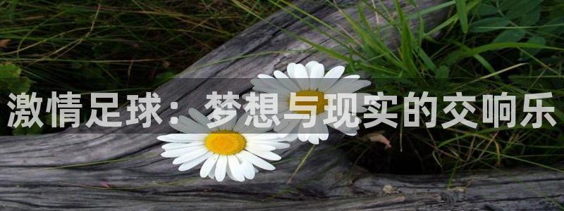 2026世界杯32强对阵图表:激情足球:梦想与现实的交响乐
