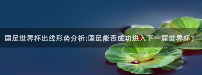 世预赛免费直播入口:国足世界杯出线形势分析:国足能否成功进入下一届世界杯?